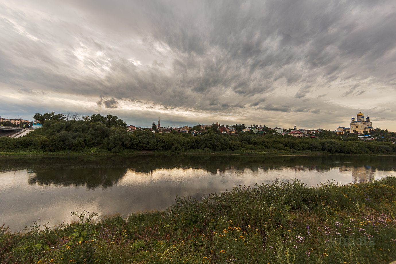 Река сосна елец