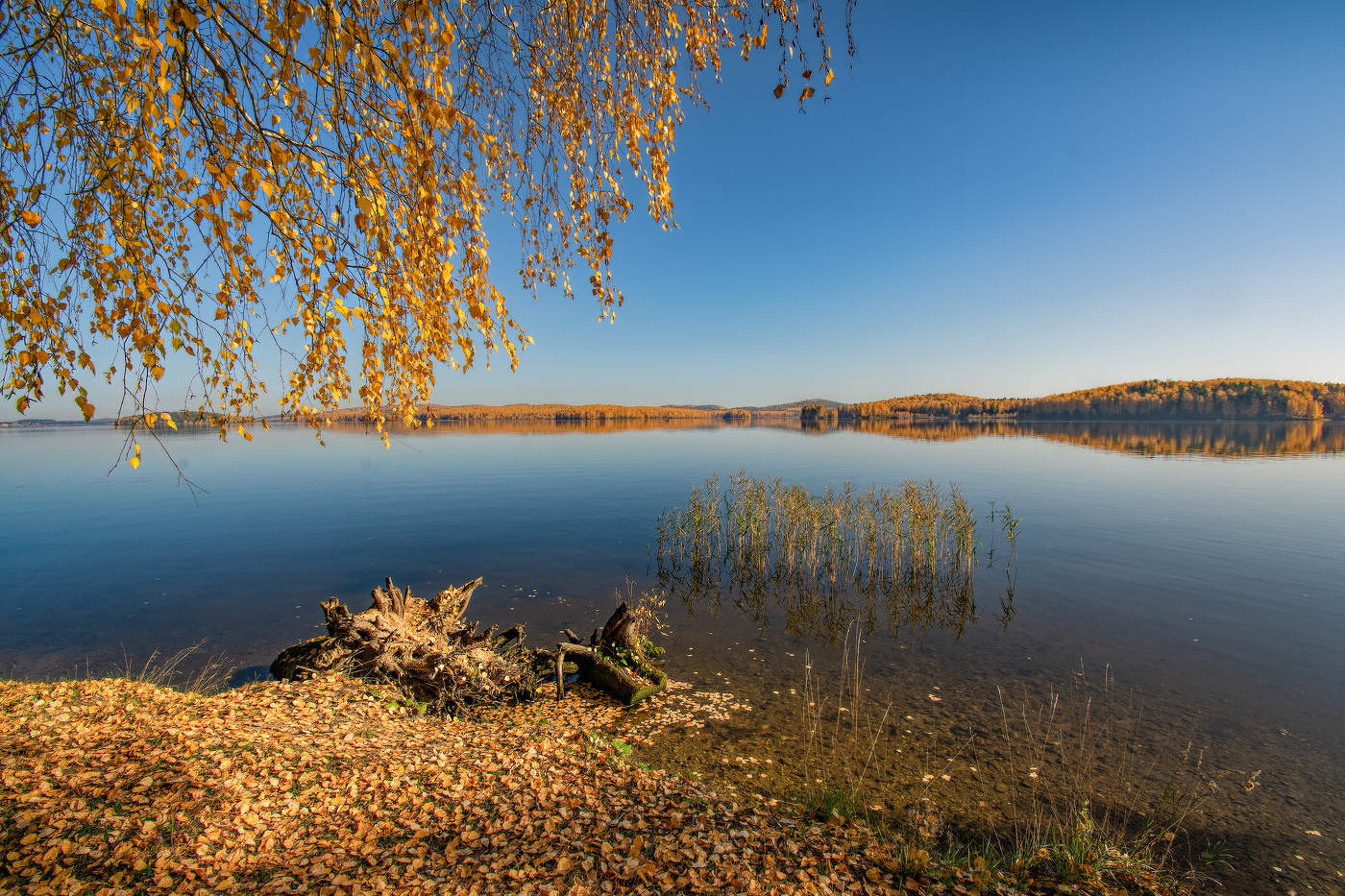 Фото Доброго Утра Осенью На Озере