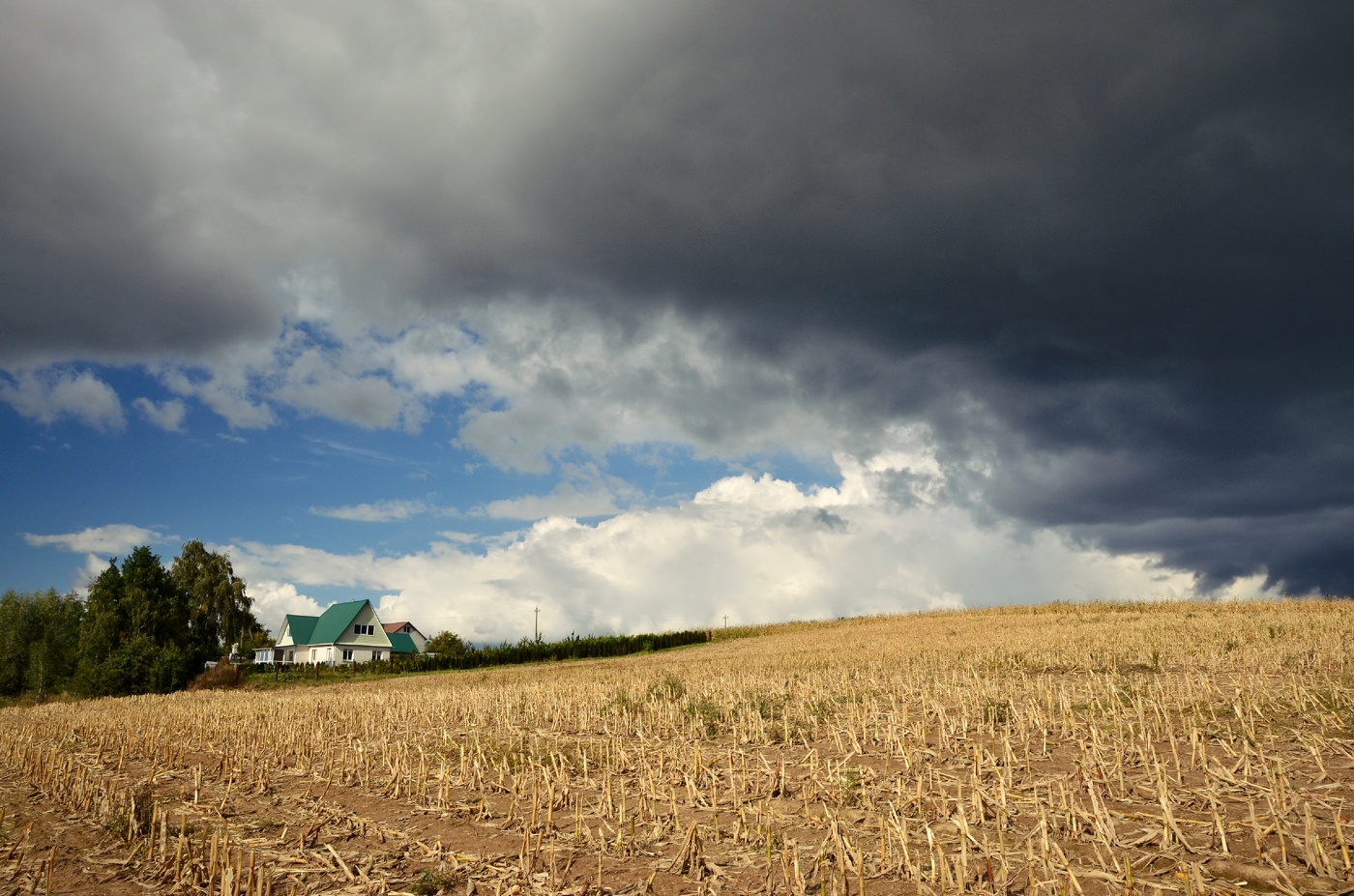 Перед дождем фото. Затишье перед грозой. Некрасов перед грозой. Поля костромской области. Русские просторы перед дождем.