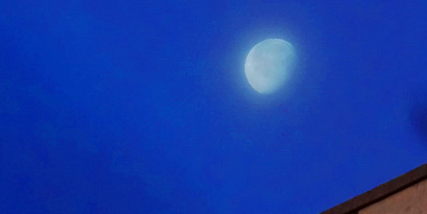 Утренняя луна / фото