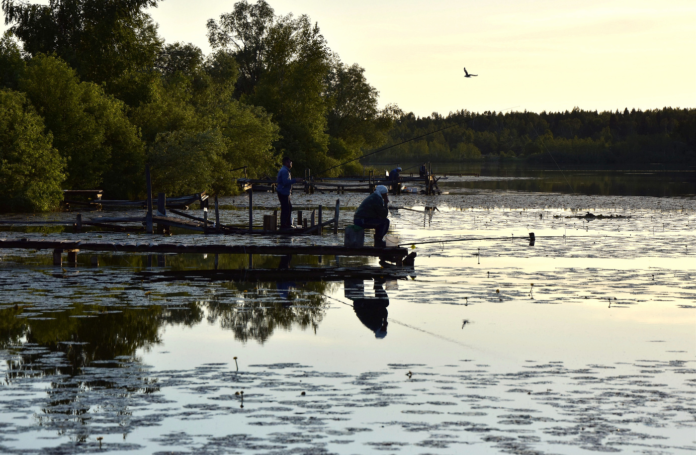 Работа рыбалки. Рыбалка фото. Магнитная охота на реке. Магнитная охота на озере. Рыбы в Ува речке фото.