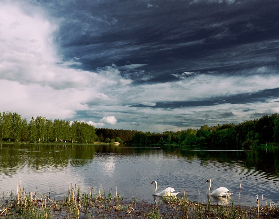 Лучшие Фото Природы Беларуси