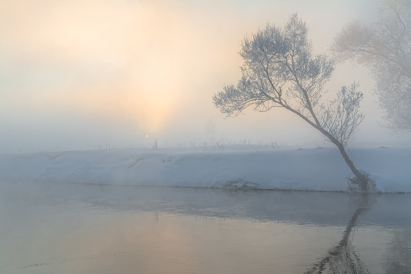 Фотосайт photocentra