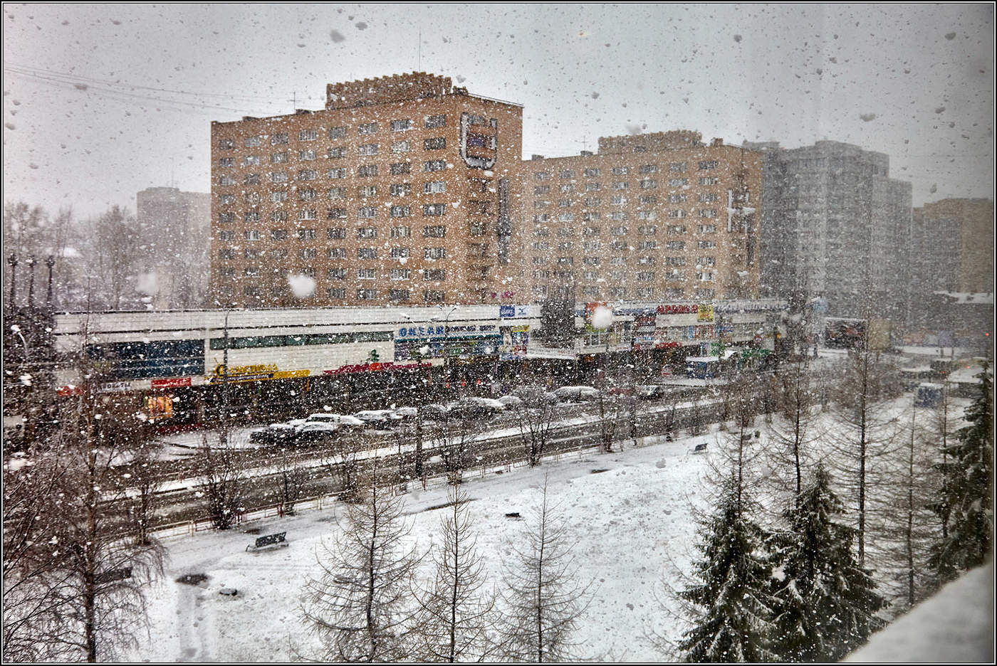 Архангельск. Майский снегопад. / фото