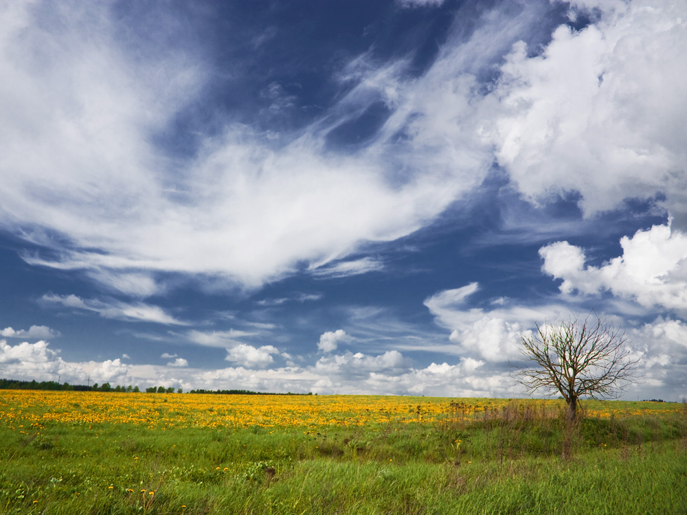 небо простор. страна белоруссия просторы. беларусь небо. равнины белоруссии. белоруссия поля заболочены.