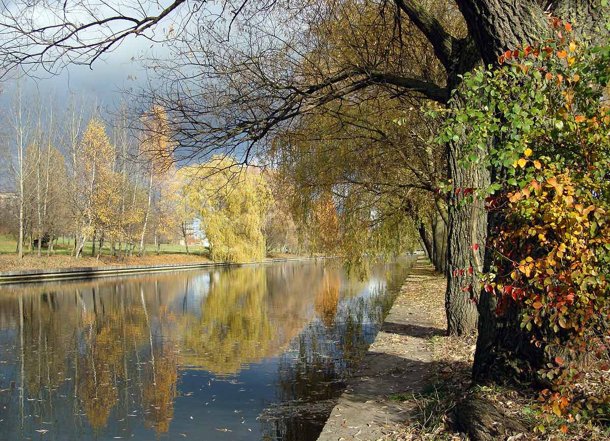Н некрасов славная осень. Осенние николаи. Осенние николаи. Осенние николаи. Н м рубцов в осеннем лесу.