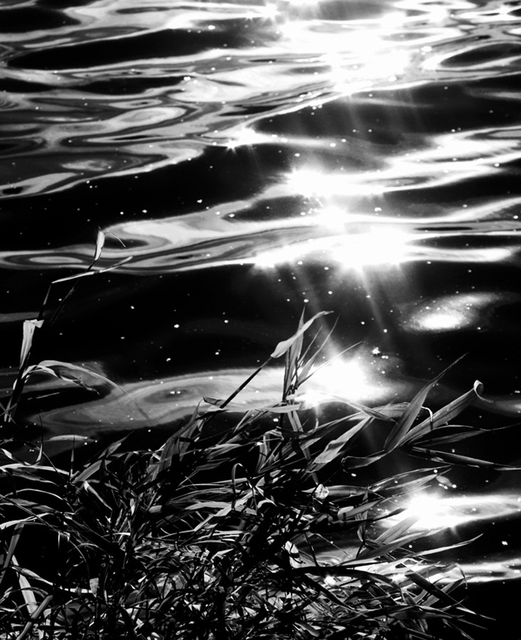 Блики на воде uba. Роковая любовь блики на воде 2024г. Блик на воде черно белое. Лунные блики на воде. Черно белая вода.