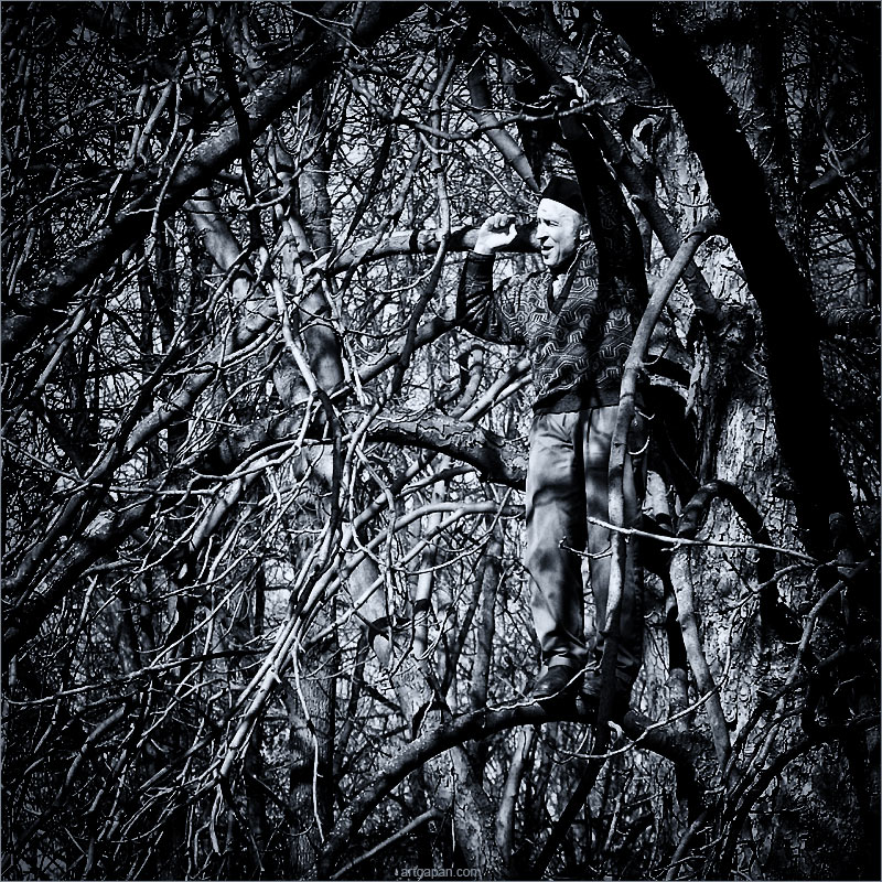 Tree man