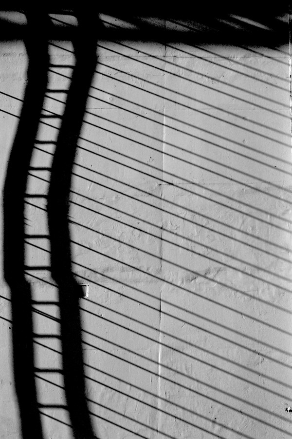 струна автор