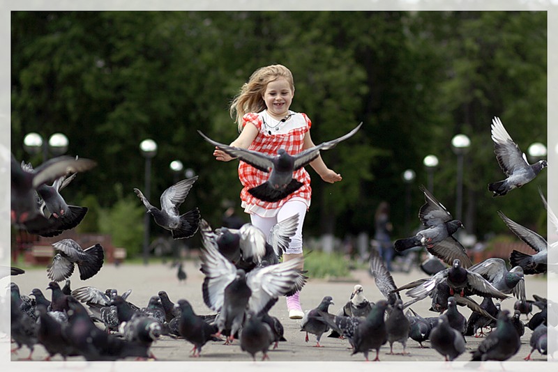 Ребенок гоняет. Дети гоняют птиц. Ребёнок бежит за голубем. Голубей гонять. Дети гоняют голубей.