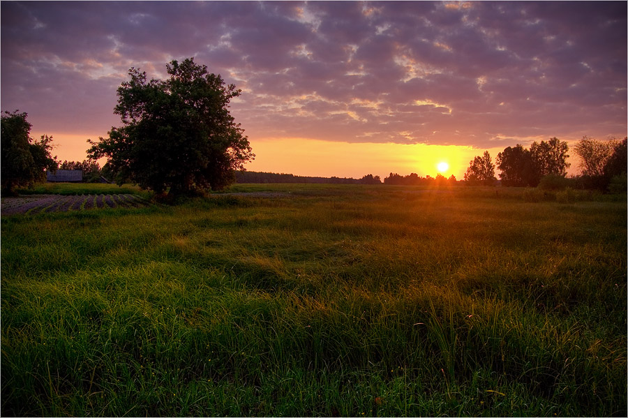 Утро краски. Краски утра фото. Пяшчотная раніца.