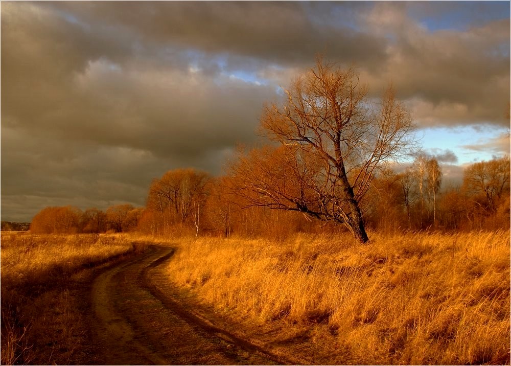 Пейзаж поздней. Поздний осенний пейзаж поле. Осенний пейзаж поздняя осень. Поздняя осень пейзаж поля. Осенние пейзажи поздней осенью.