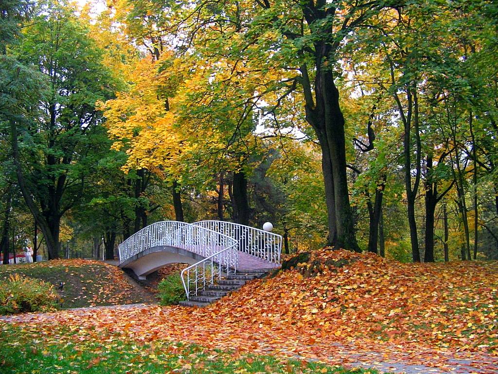 Скверы осенью. Осенний парк. Парк осенью. Осенний сквер. Осень в парке.