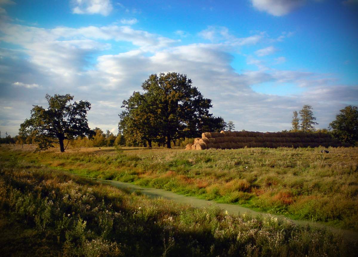 Родные просторы села. Сельский пейзаж. Русские просторы село. Пейзаж деревня просторы. Раздолье русская деревня.