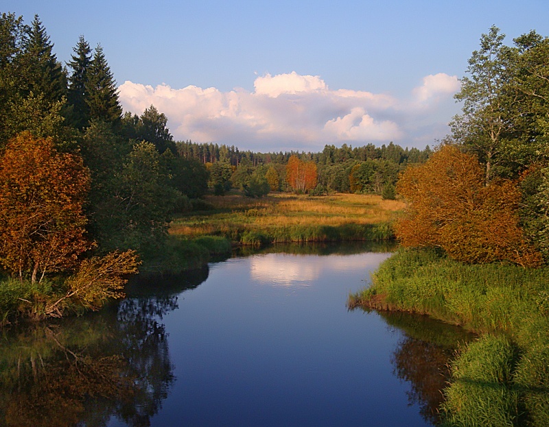 Близкий берег. Берег Уральской реки осенью. Осенний берег реки.