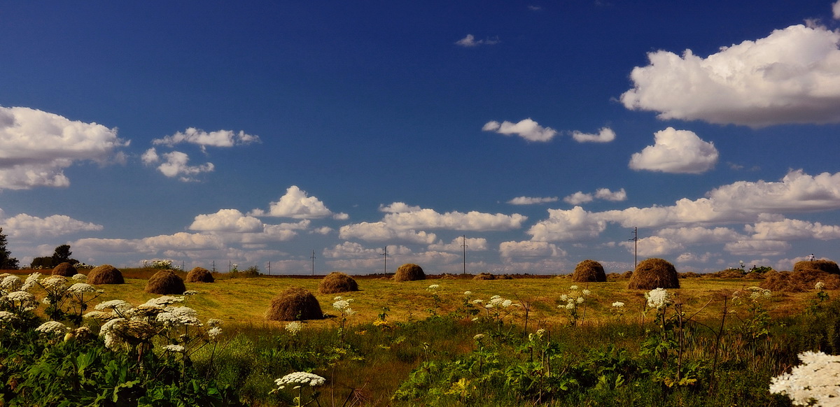 Лето в деревне сенокос