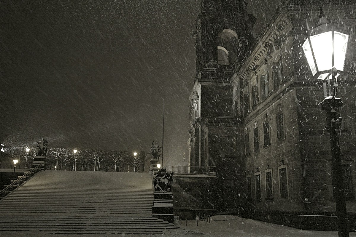 зимний пейзаж ночью. мистические пейзажи. снежная буря в лесу ночью. метель. метель ночью.