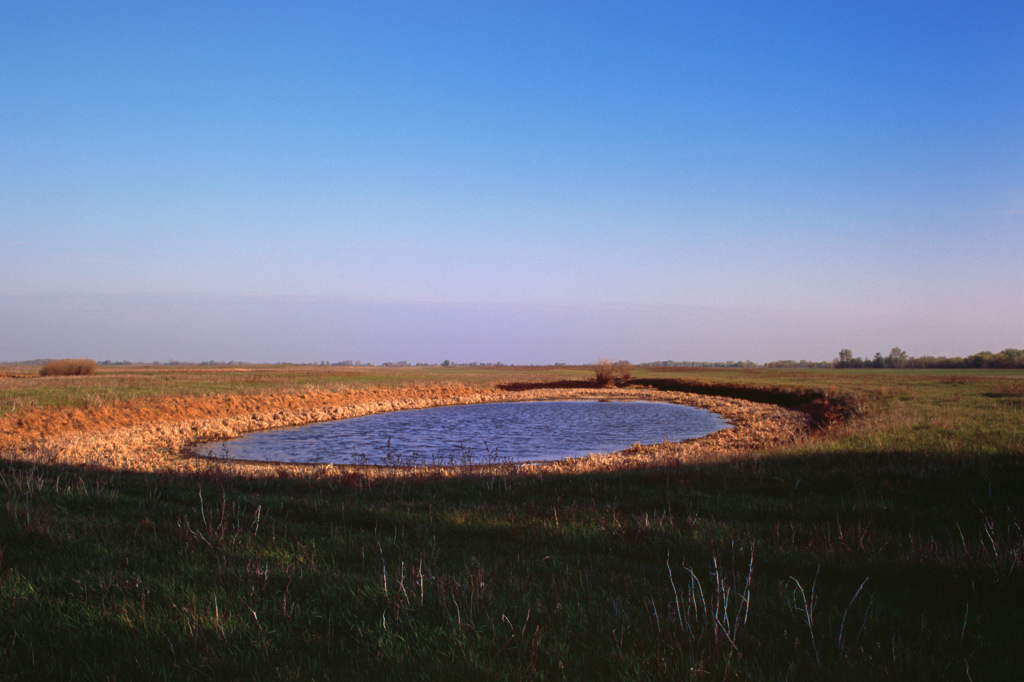 степь и ветер. простор кругом. русское поле. бассейн посреди степи. необъятные просторы.