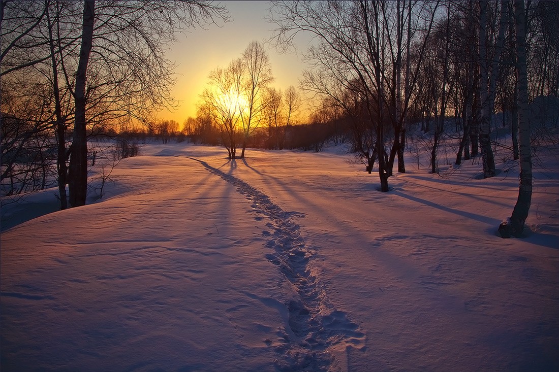 Снега путей. Тишина солнце следы. Октябрьский холод пейзаж фото.