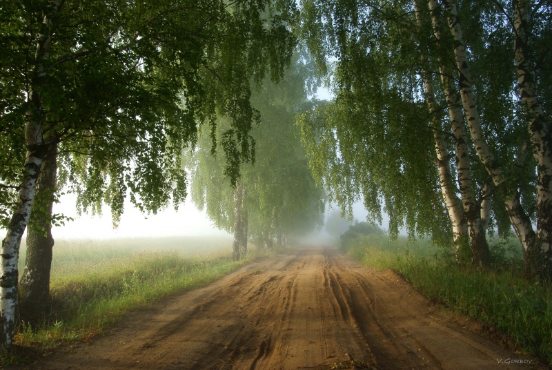 Русское утро. Российское утро.