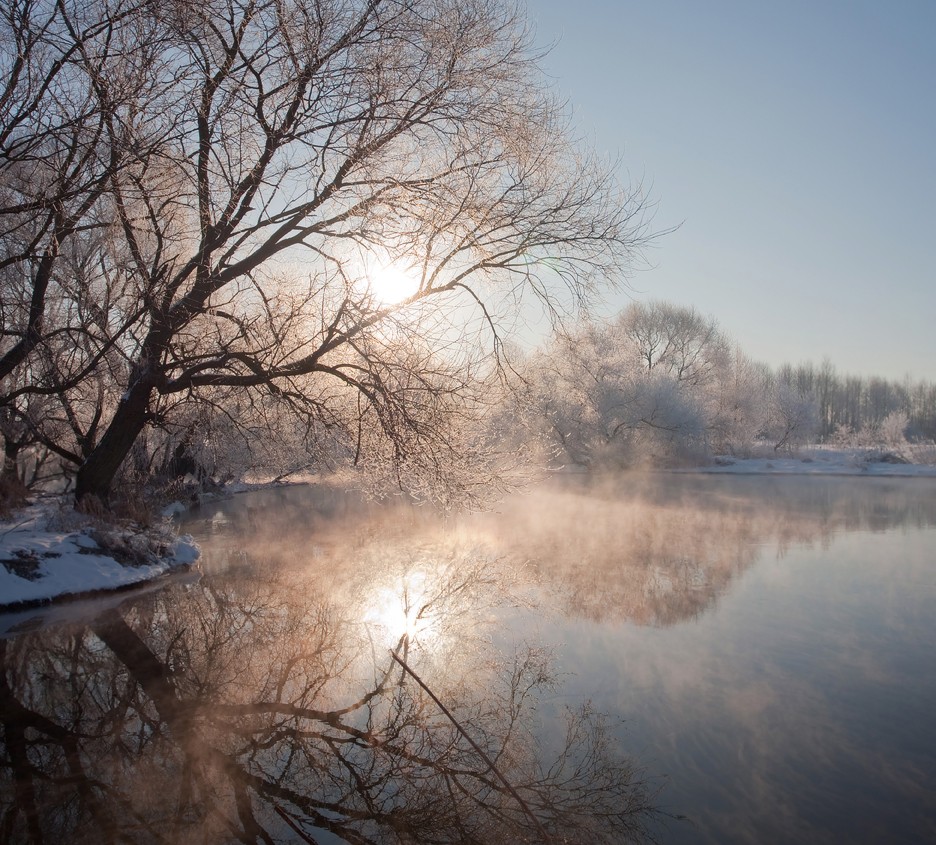 Ясное утро. Фотограф Алексей Угальников. Ясного утра картинки. Ясное утро 312.