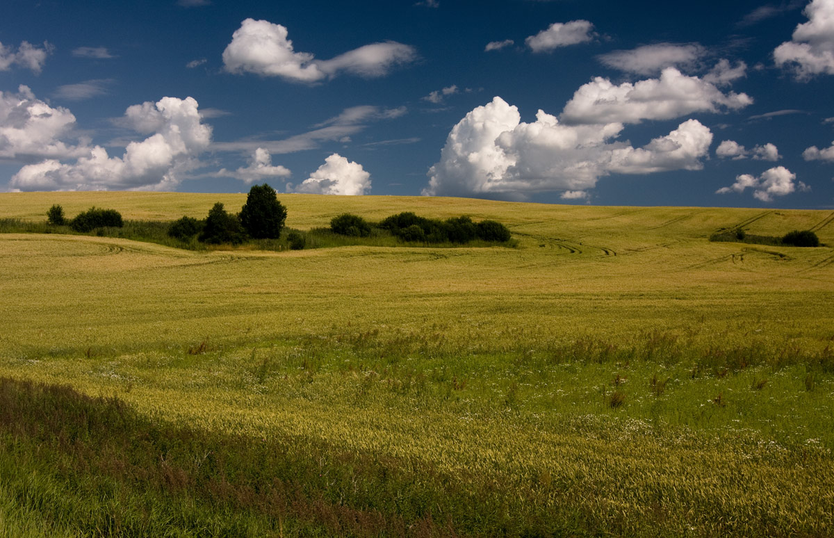 Плоская равнина