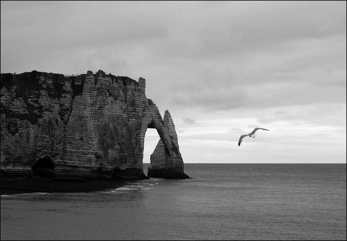 море скалы чайки. море скалы птицы. черное море крым. скала чайка. море скалы чайки.