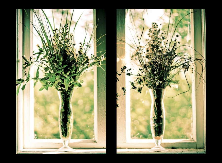 Цветы в вазе. Стоявшие у окна цветы быстро завяли. Герань на окне. Стоявшие у окна цветы быстро завяли. Стоявшие у окна цветы быстро завяли.