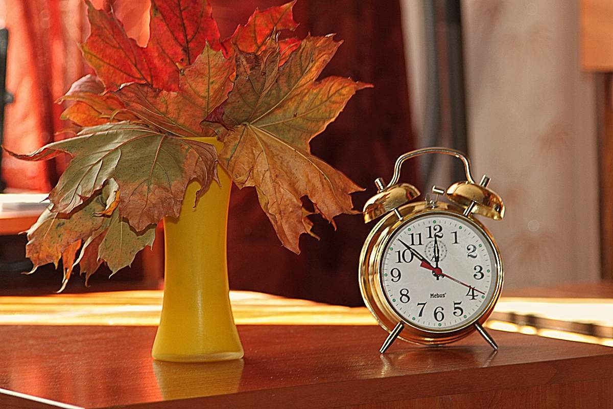 Красивая осень время. Осенние часы. Часы в осенней листве. Часы в осенних листьях. Осенний будильник.
