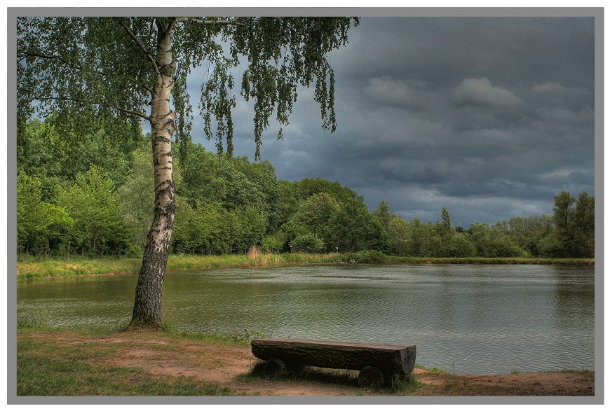 Дубрава дубовая роща. Где шумят дубравы. Широколиственный лес дубрава. Книжка лесная дубрава. Дубрава дубовый лес роща.