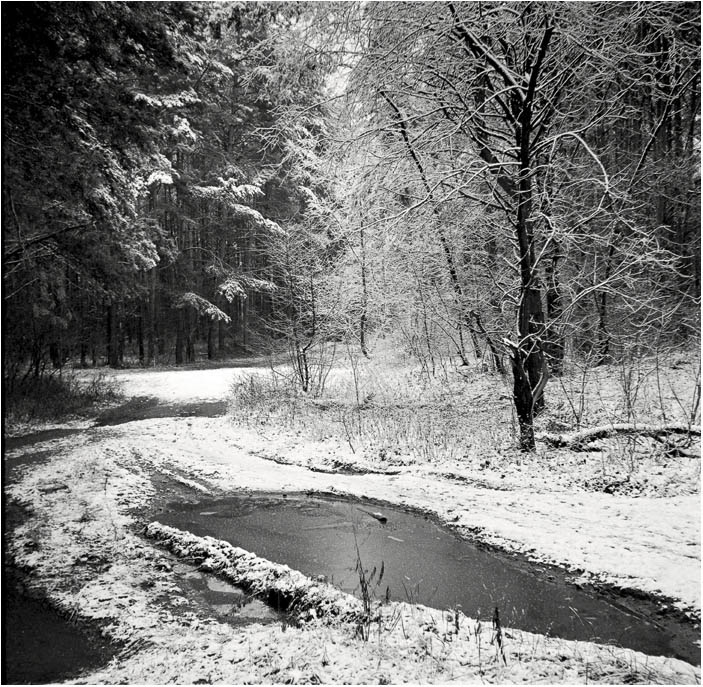 Фото Первых Дней Зимы
