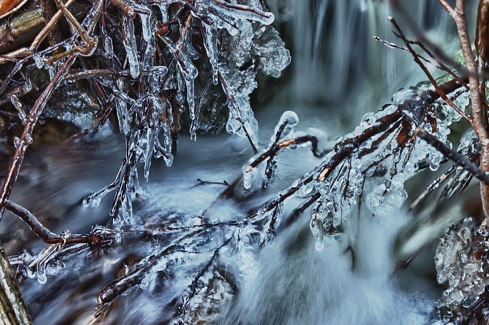 замерзшие ветки. ледяные ветки. лед на ветках деревьев. ледяные ветки. веточки во льду.