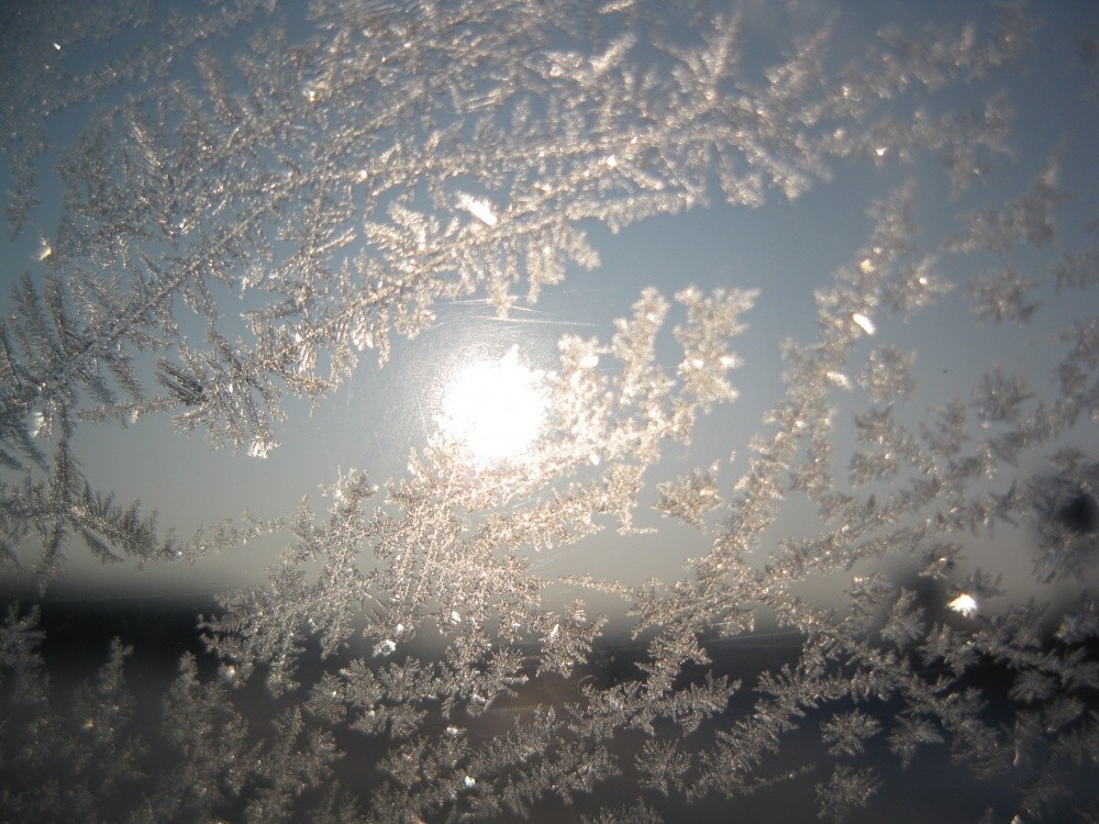 зимний пейзаж на стекле. узоры на стекле. сквозь расписанные серебром на окне морозные звезды. морозное окно. сквозь расписанные серебром на окне морозные звезды.