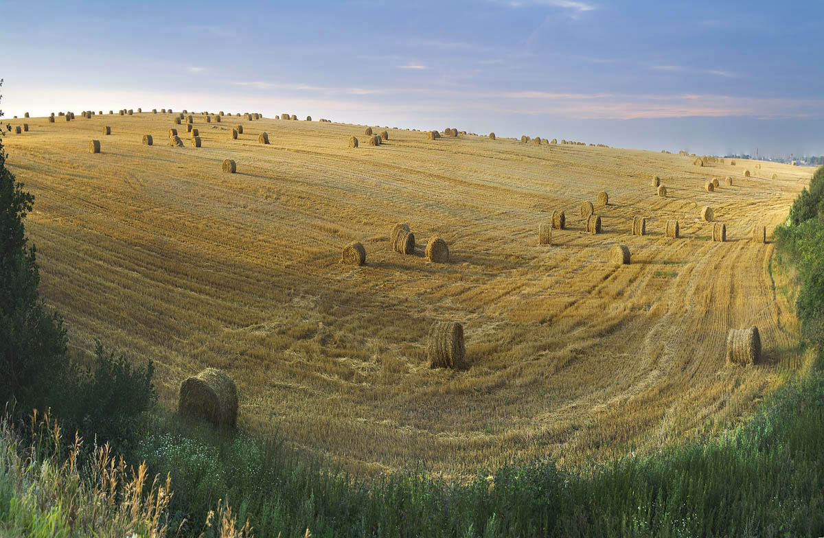 Фото полей беларуси