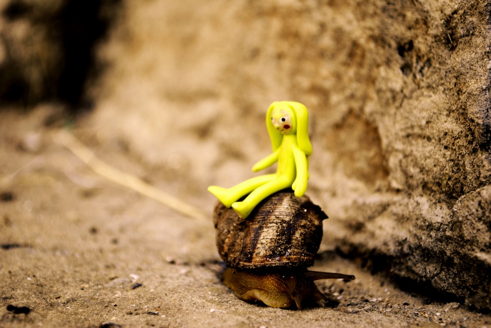 Стих про куклу. Берестов больная кукла. Берестова большая кукла стихотворение. Тихо куколка. Тихо куколка.