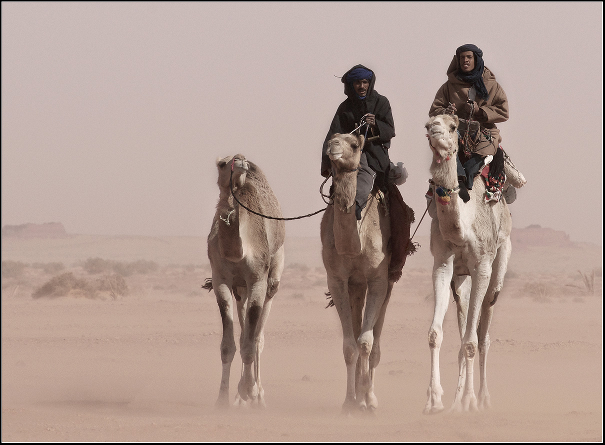 Жизнь и быт в пустыне. Бедуины Аравийского полуострова. Бедуины в Египте. Бедуин на верблюде. Бедуины в Алжире.