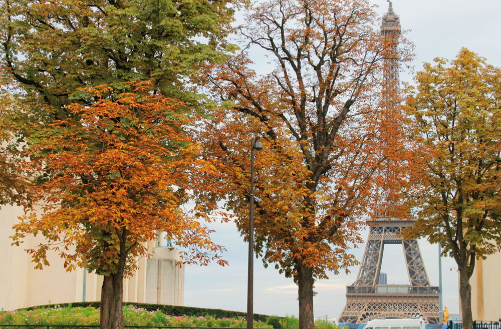 Париж осенью красивые