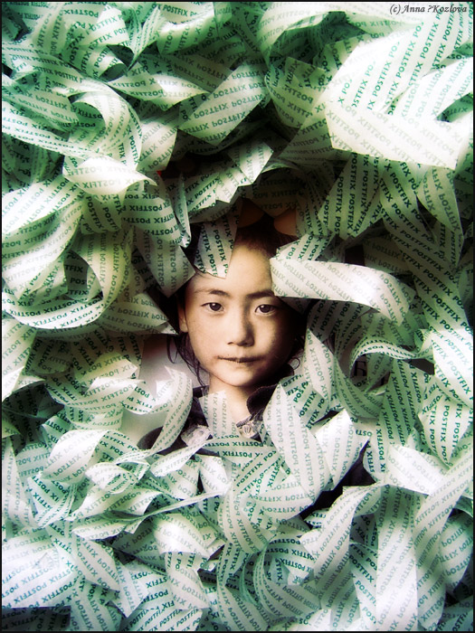 Paper face