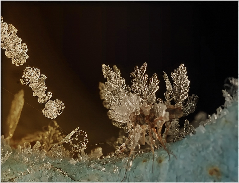 грибы байкала. морской лед ледяные иглы. ледяная лапа. ледяной корень. морозный корень.