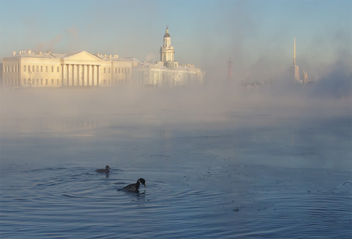 Купаться санкт петербурге