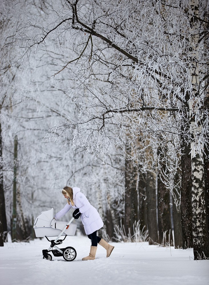 Зима прогулка фото