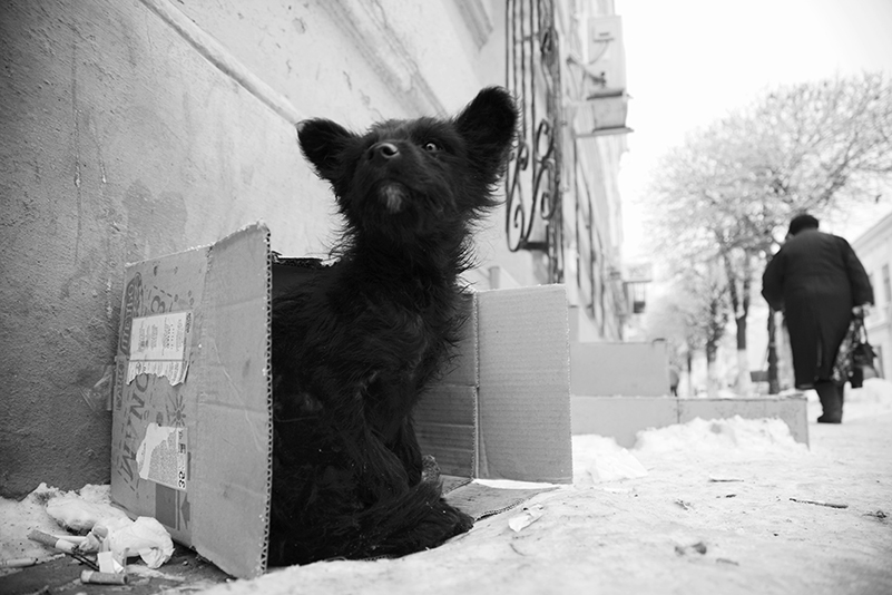 С трудом во мне помещался — 9