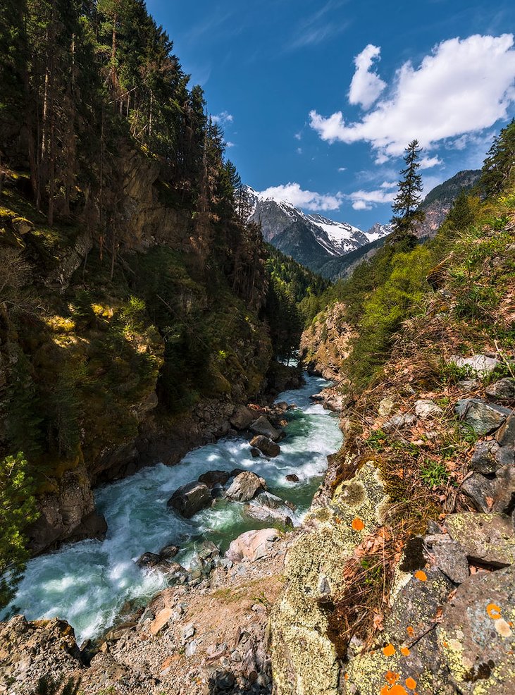 Ущелье гоначхир домбай фото