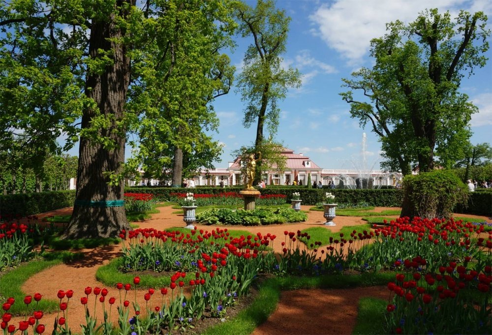 Петергофские конюшни. Петергофская улица петергоф. Петергофская улица петергоф. Санкт-петербургский проспект 60 ф. Дворцовые конюшни в петергофе.
