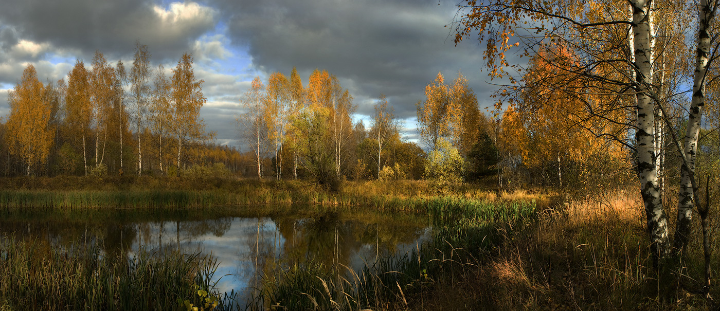 Красивые Ноябрьские Пейзажи Природы Фото