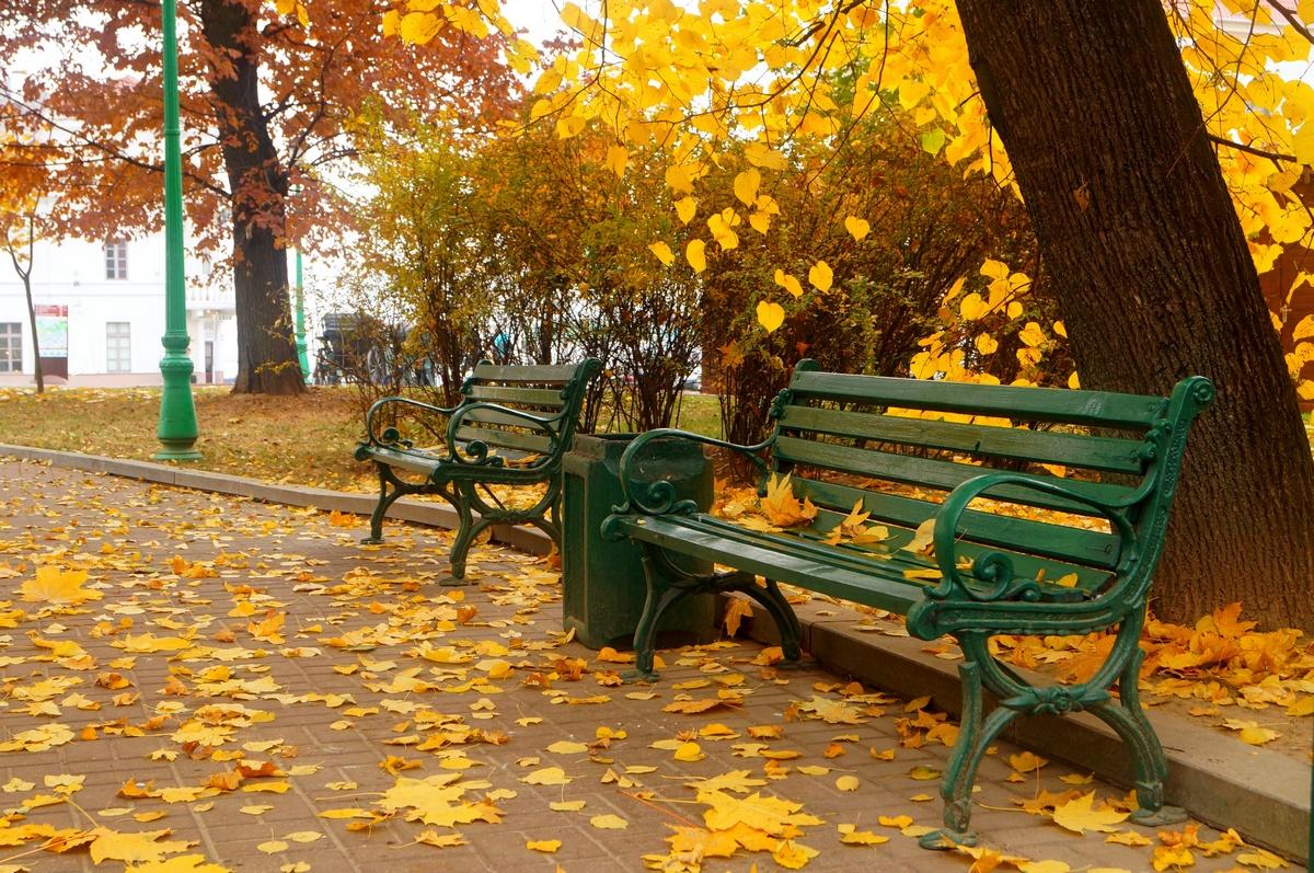 Осенний Минск Фото