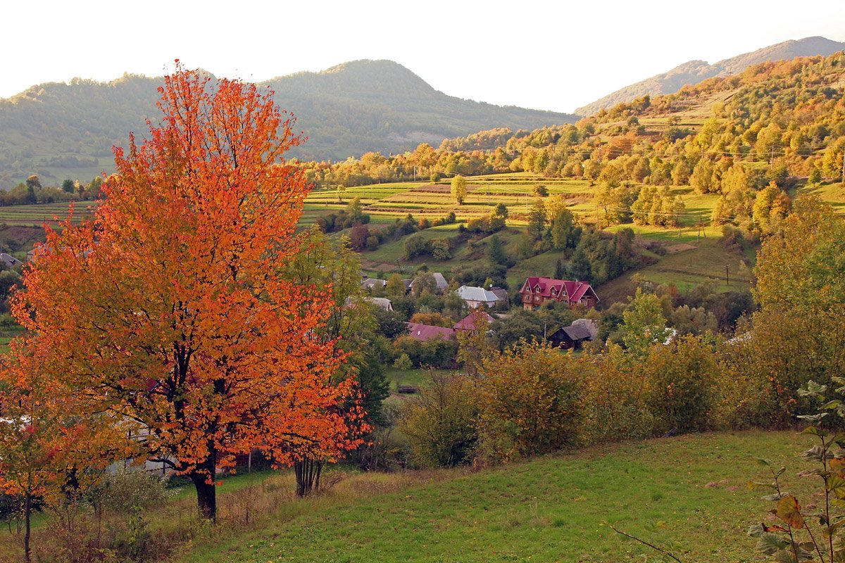 Осень в карпатах фото