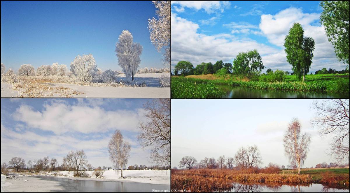 Поры годы польский. Пейзаж в Разное время года. Пейзаж зимой и летом. Пейзаж времена года. Один пейзаж в разные времена года.