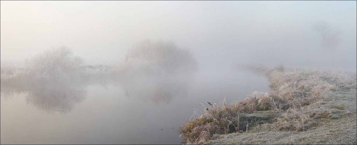 Почему туман белый. Снежная морось. Почему туман белый. Явления природы туман. Густой туман.