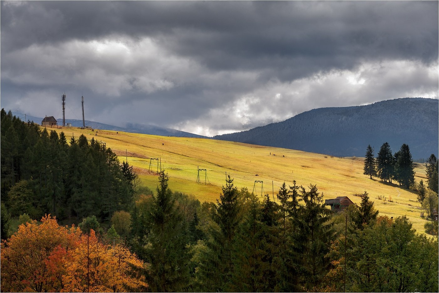 Карпаты Осенью Фото